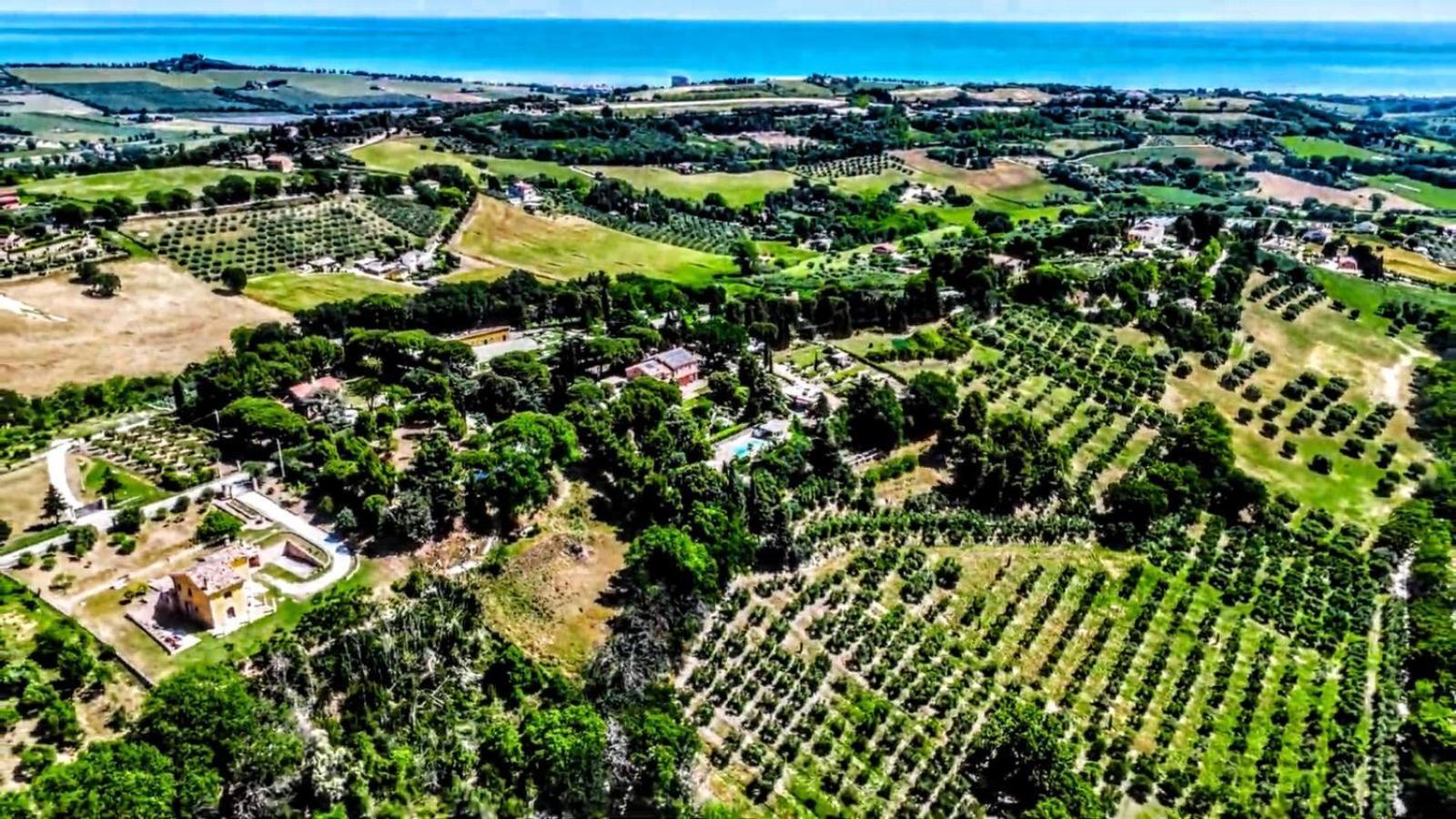 Villa Silvio Civitanova Alta Exterior foto